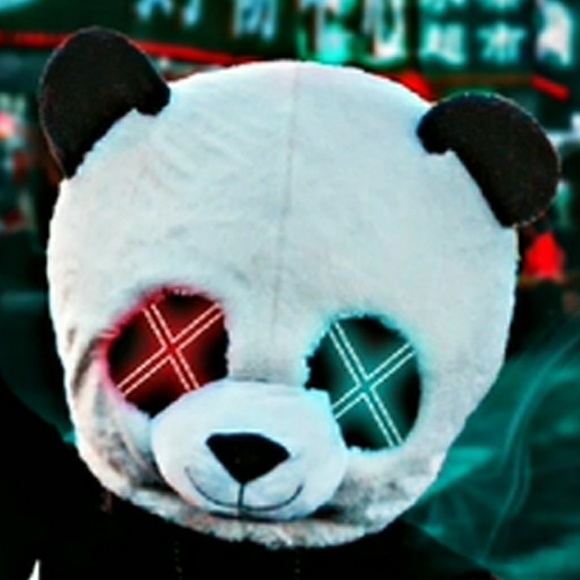 Meet your Posher, Steven - Picture 1 of 1